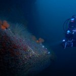 8024316953_f77de6e763_b