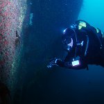 8024318383_ceac5830d7_b