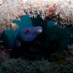 8024333252_cd368fc5ff_b